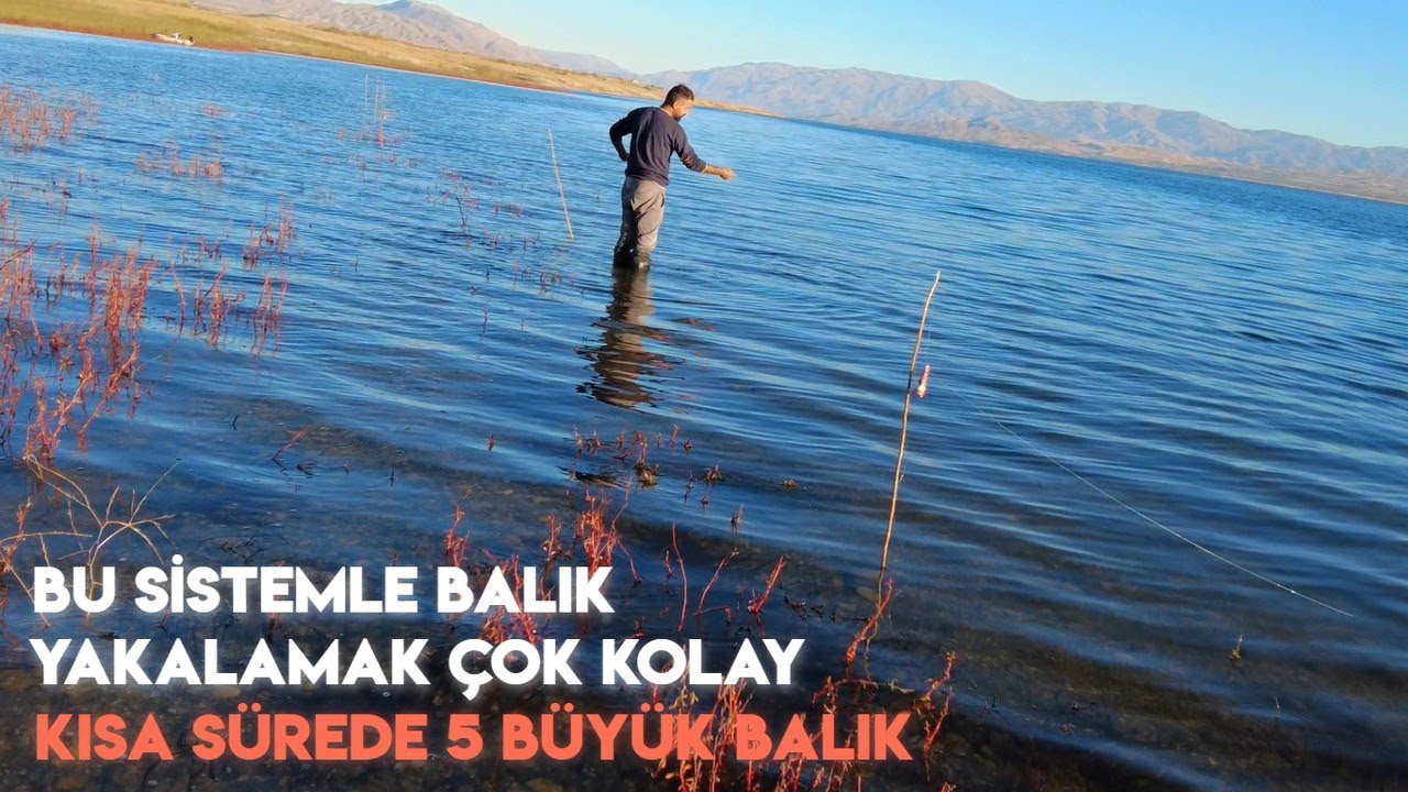 BALIK AVI | BU SİSTEMLE BÜYÜK BALIK YAKALAMAK ÇOK KOLAY ( TROFE SAZAN AVI )