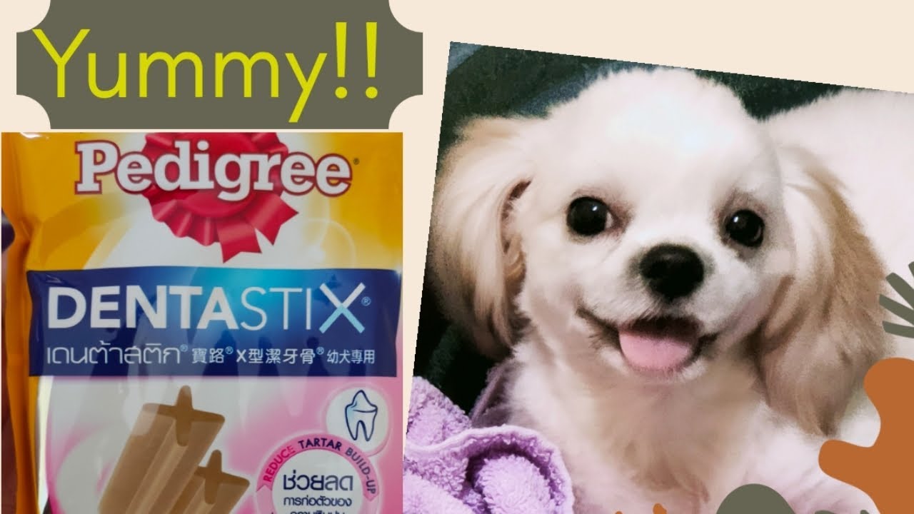 PEDIGREE DENTASTIX DOG TREATS for my SHIH TZU