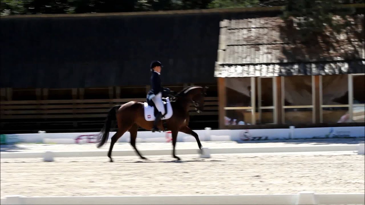 Gosia Cybulska na Sir Scotty, Mistrzostwa Europy Junior&oacute;w wkkw Biały B&oacute;r 2015