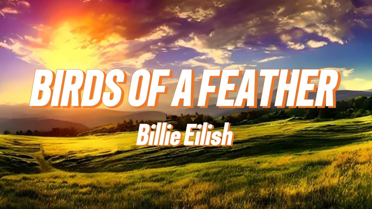 Billie Eilish - BIRDS OF A FEATHER