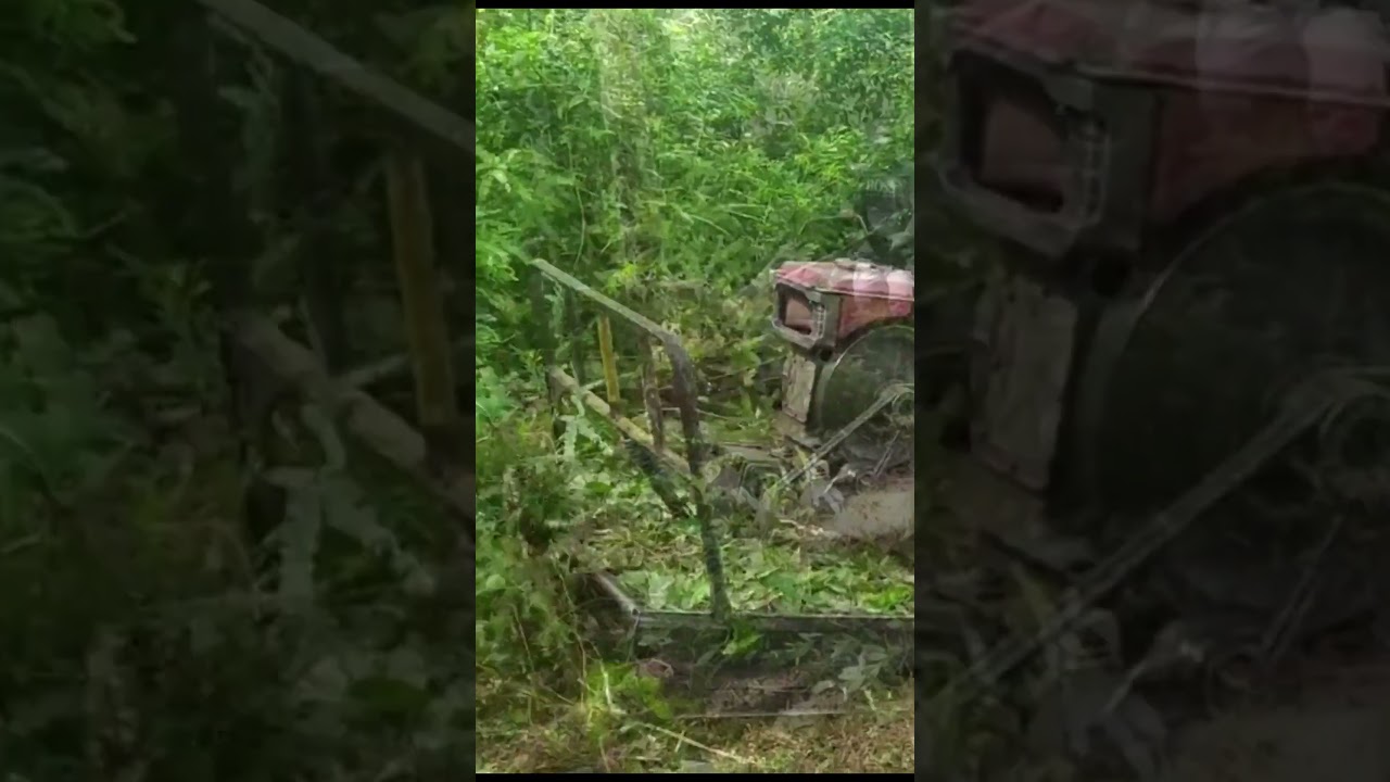High-Powered Land Clearing Equipment for Your Property #agriculturemachines #agriculturetechnology