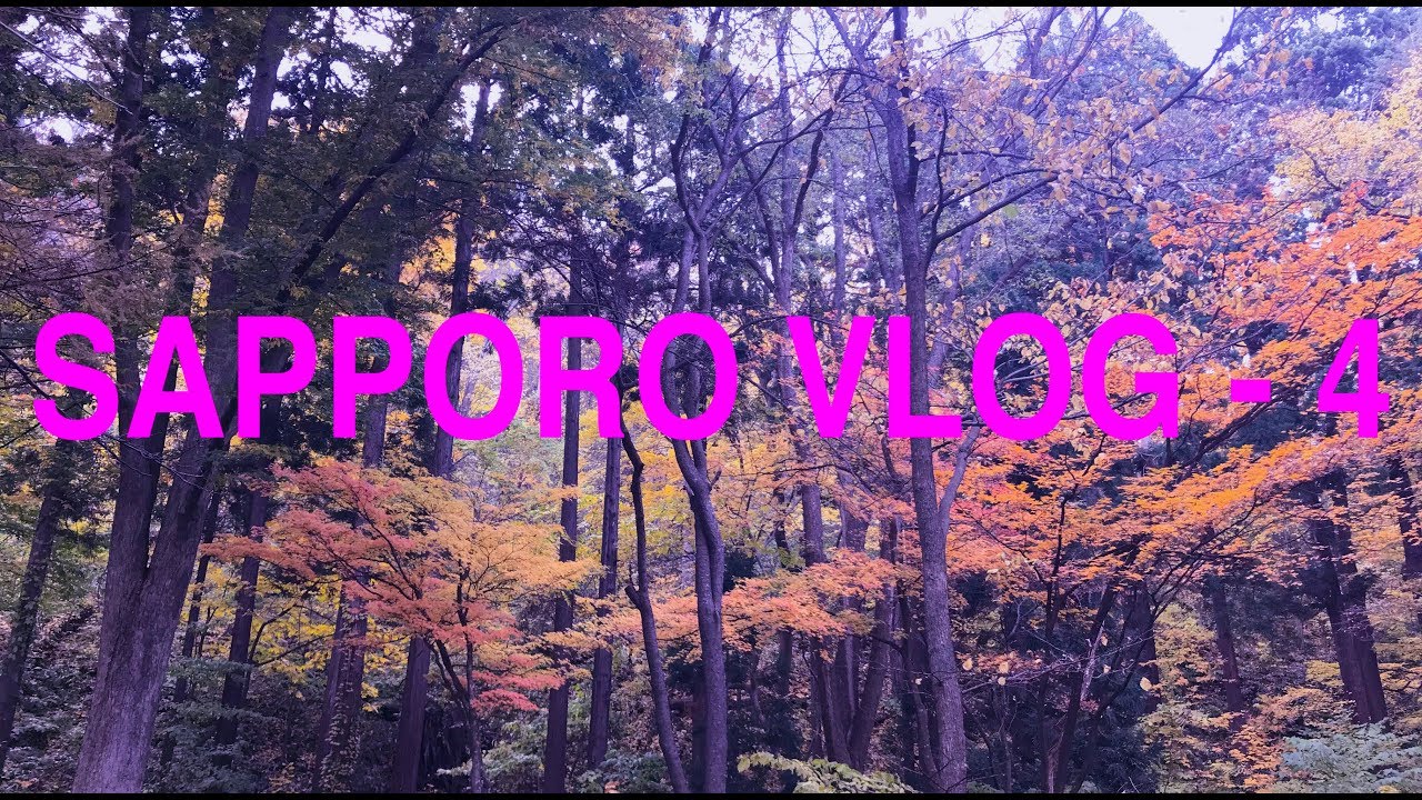 SAPPORO MARUYAMA ZOO AND FOREST ADVENTURES