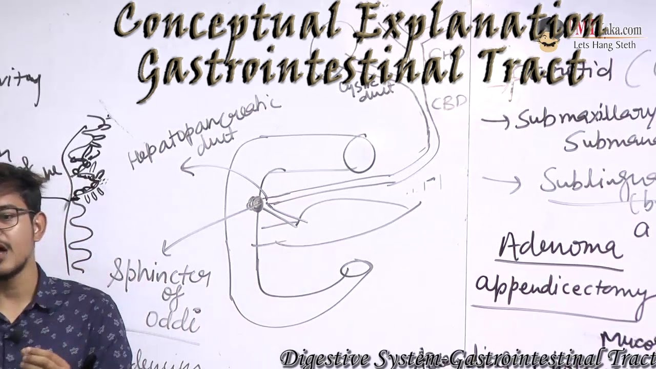 AIIMS | AIPMT - Digestive System - Gastrointestinal Tract