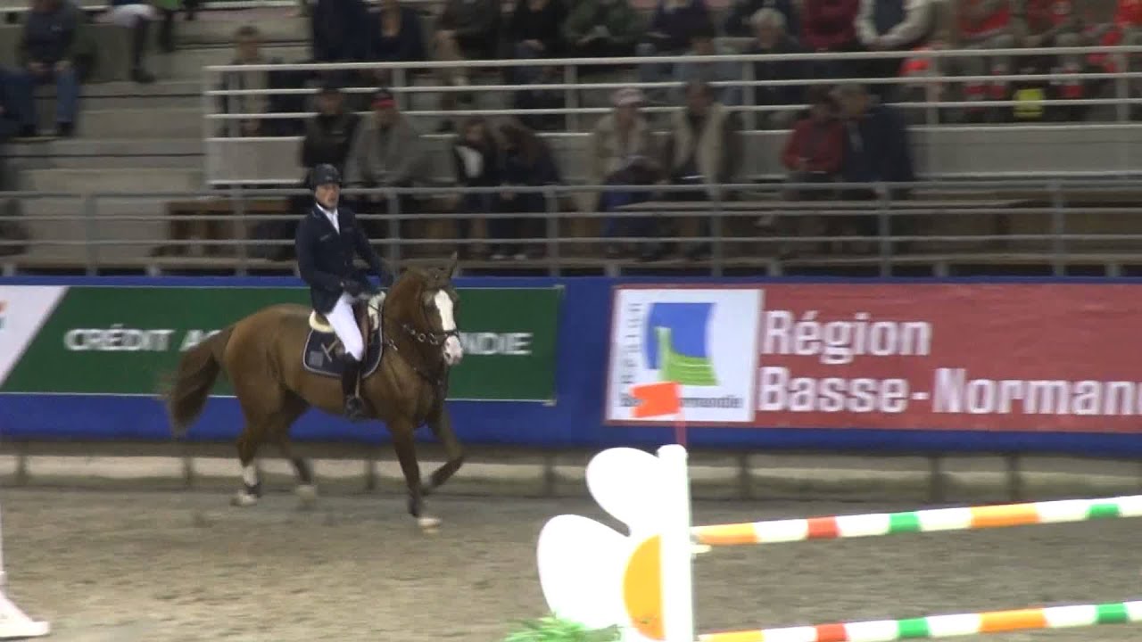 Rexar du Houssoit (webstallions.com)