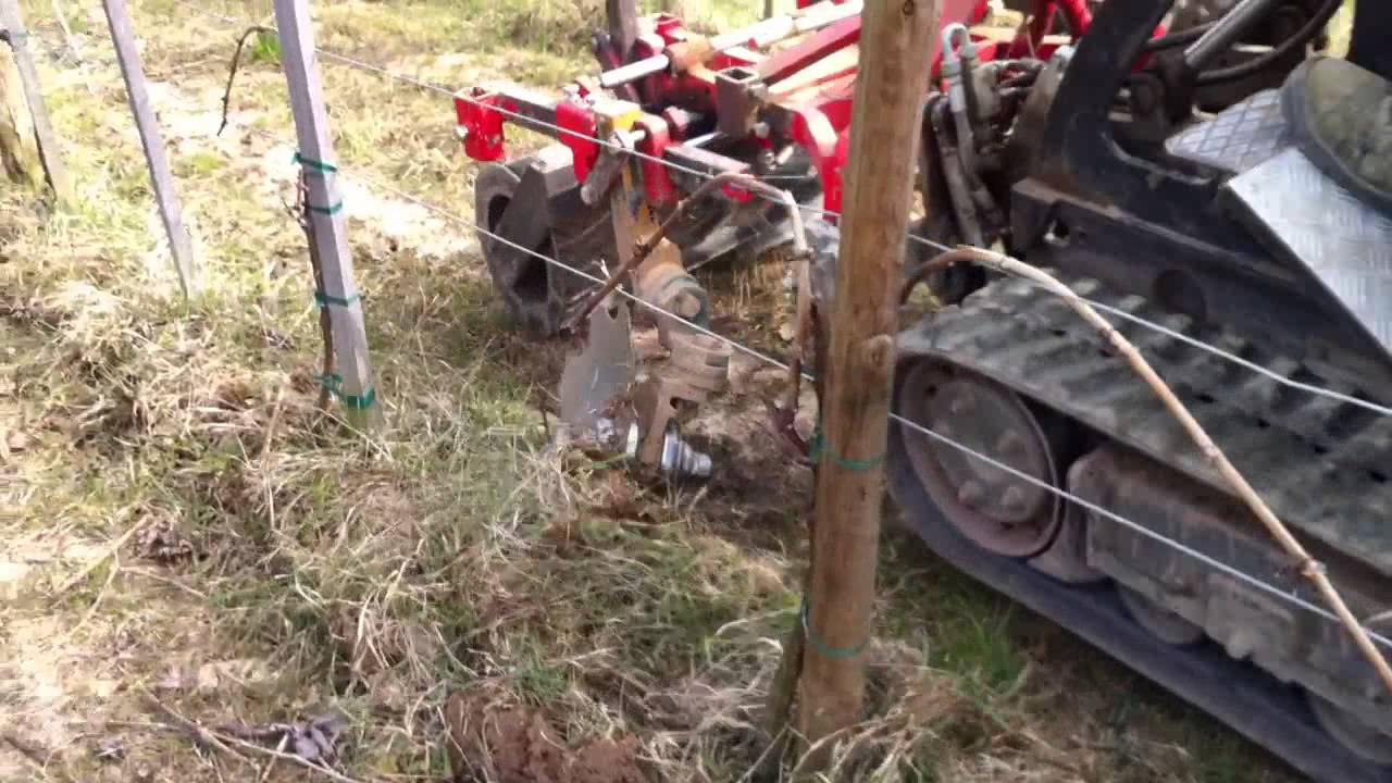 Disques crénelés (viticulture - désherbage mécanique)