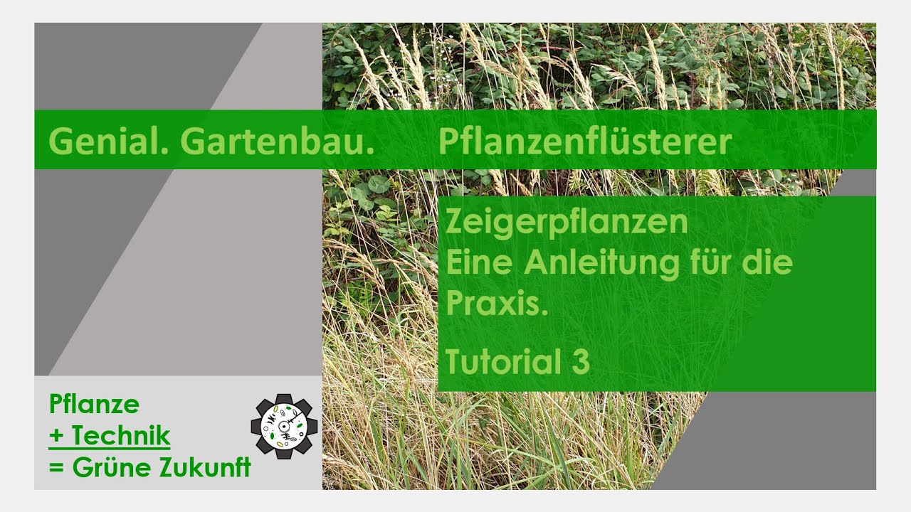 &bdquo;Pflanzenfl&uuml;sterer&ldquo; | Zeigerpflanzen. Eine Anleitung f&uuml;r die Praxis. | Tutorial #3