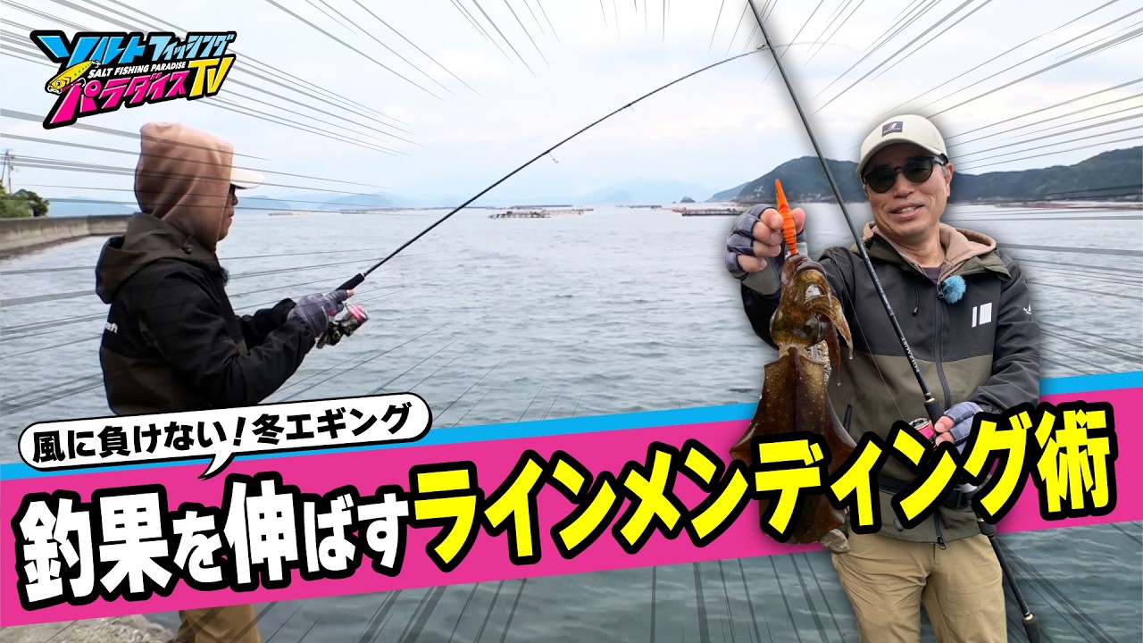 冬エギングはラインメンディングが重要！ショアジギとの二刀流なら、おみやげ確保も心配無用！（ソルパラTV・2025年12月12日公開）