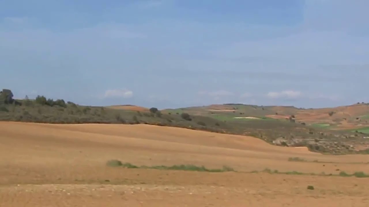 Sisamon