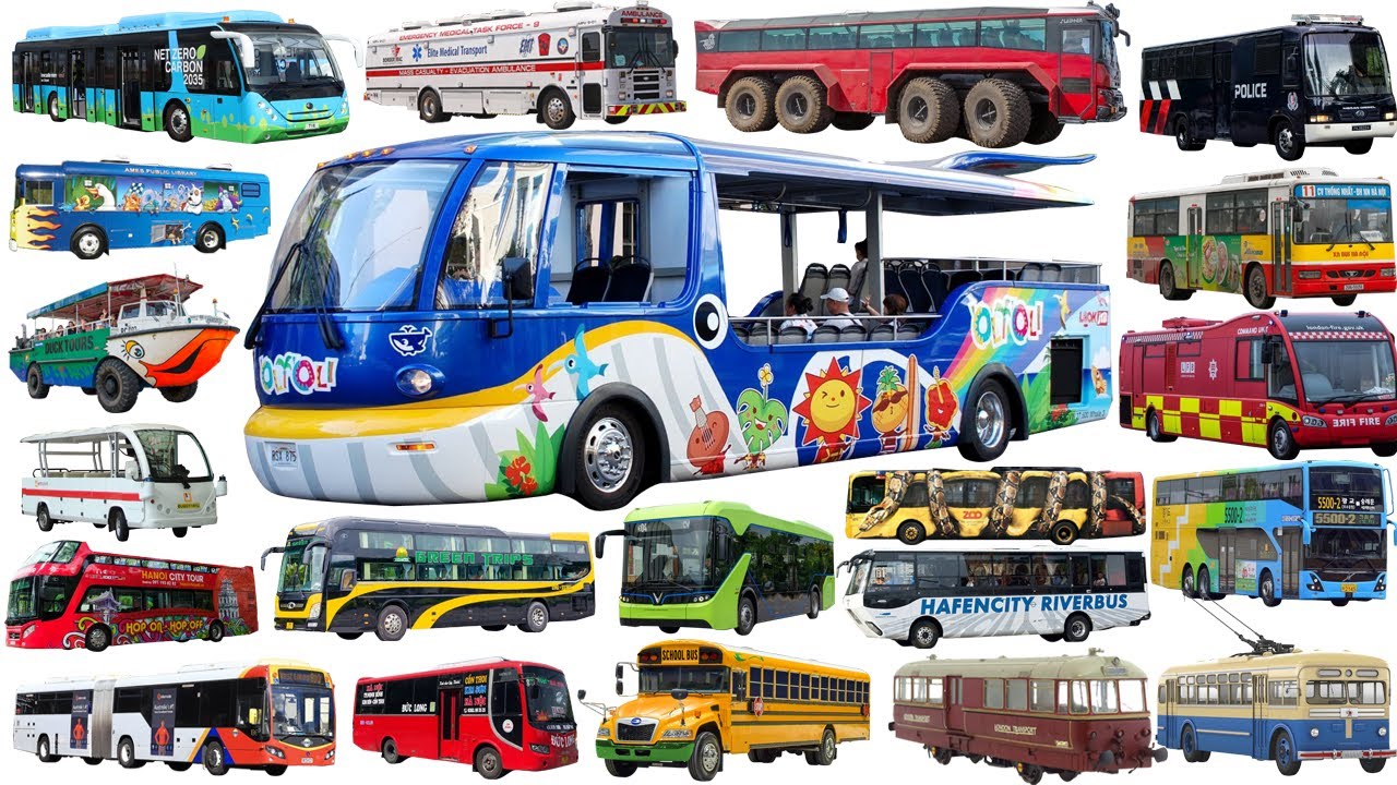 WHALE BUS, Police bus, Electric Bus, City Bus, Coach, School bus | Buses Collection Name - Bus types