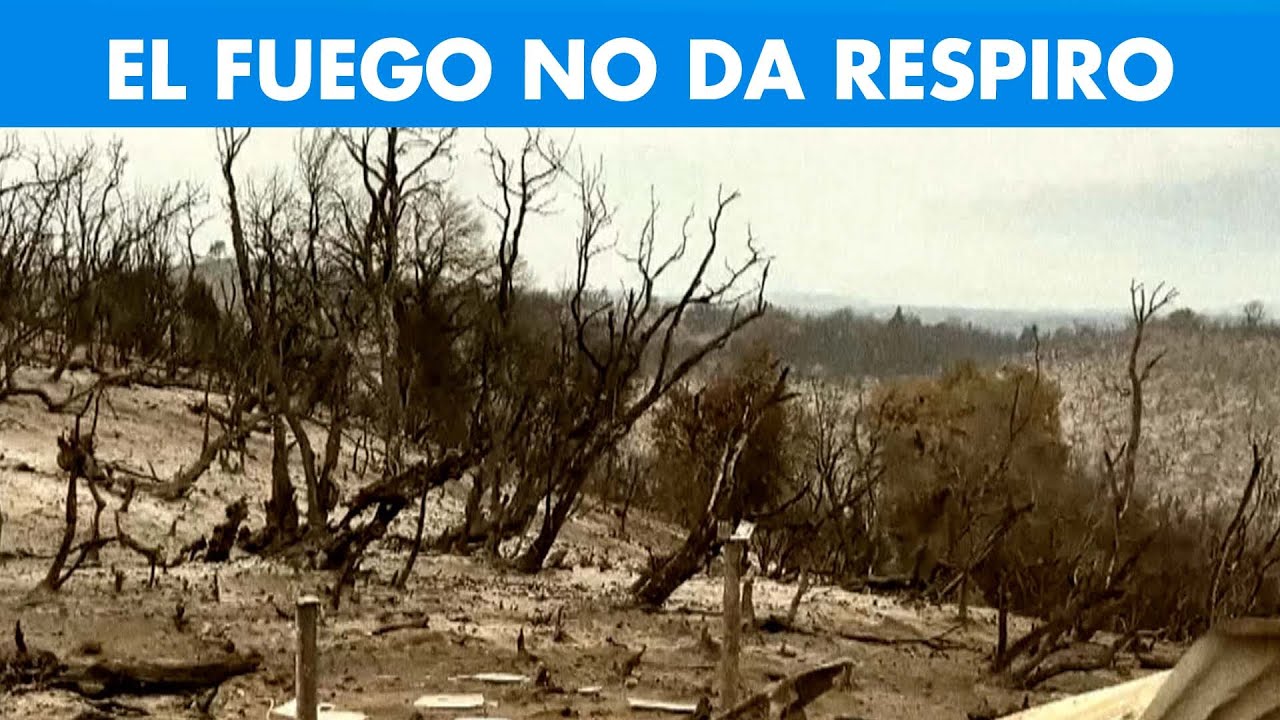 Chubut en llamas: el fuego ya arrasó más de 45 mil hectáreas