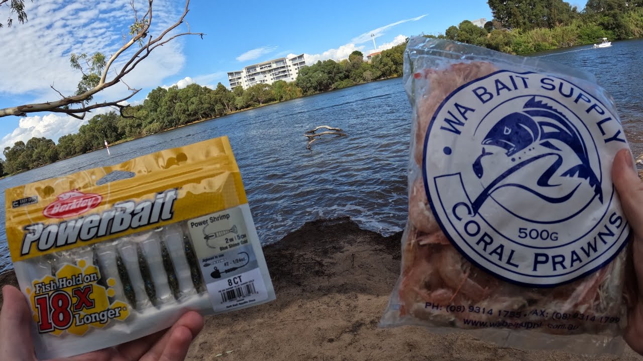 Bait vs Plastics | Fishing on the swan