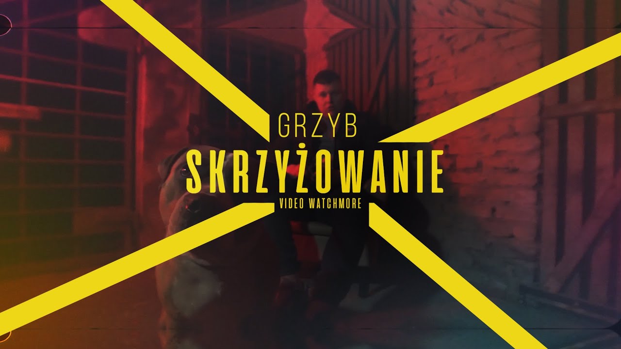 GRZYB - SKRZYŻOWANIE PROD. PIETRAS