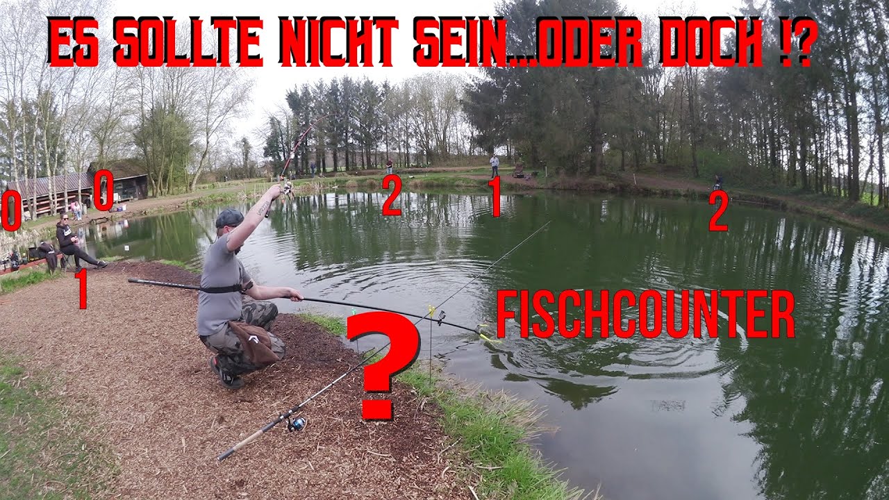 Erster Angelbesuch bei Forellenhof Fischer in Lintig