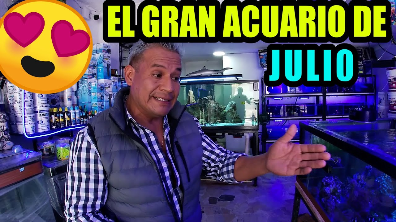 Visitando el Mejor acuario de  ATIZAPAN  CORAL WORLD