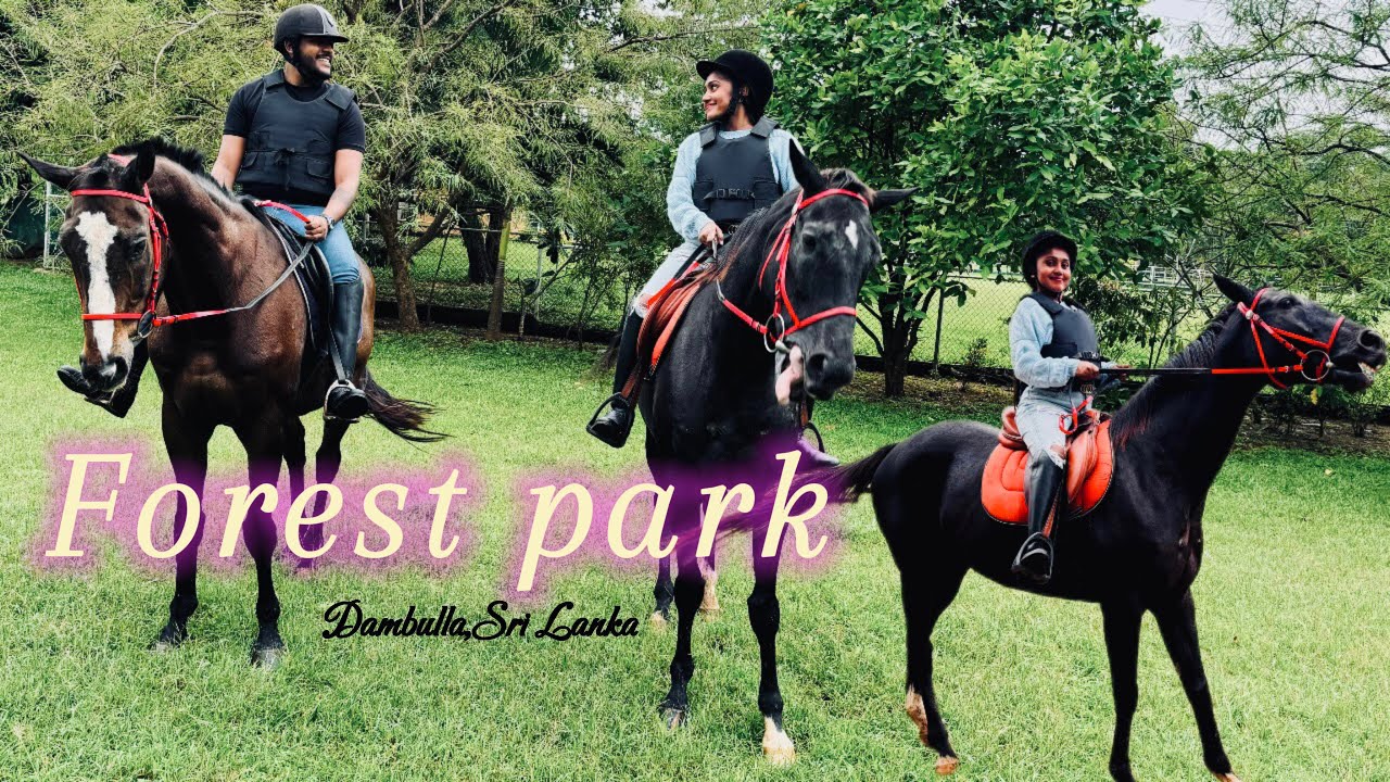 Forest Park | Horse riding 🏇| Dambulla | Sri Lanka 🇱🇰
