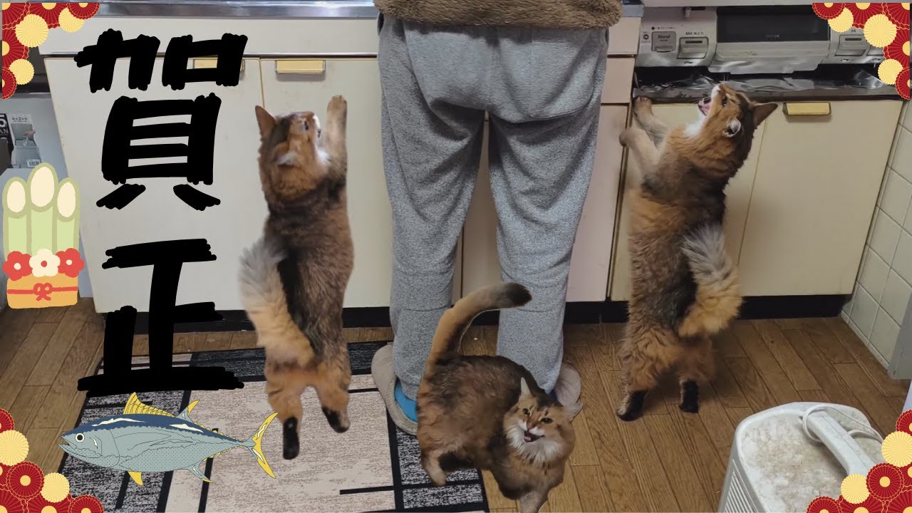 正月のマグロをかけた戦い