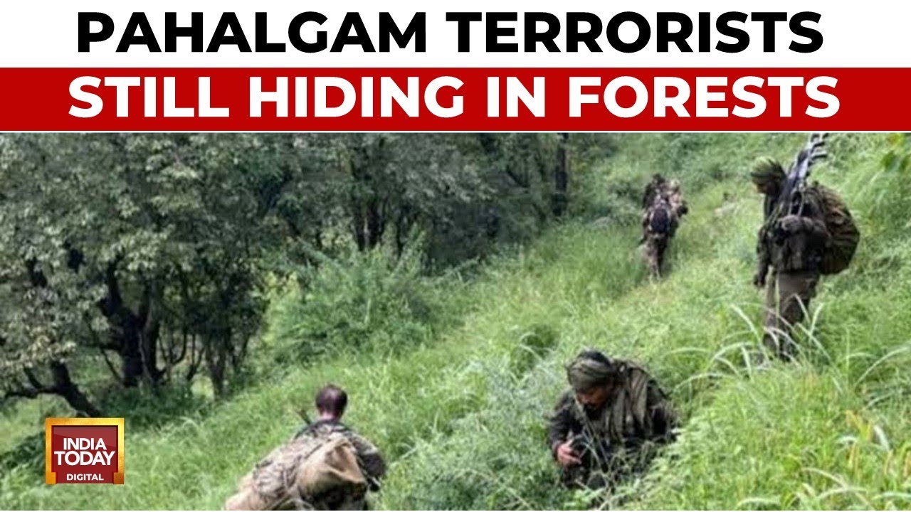 Near Miss For Forces In Terror Hunt As Terrorists Change Location Of Hideout | India Today