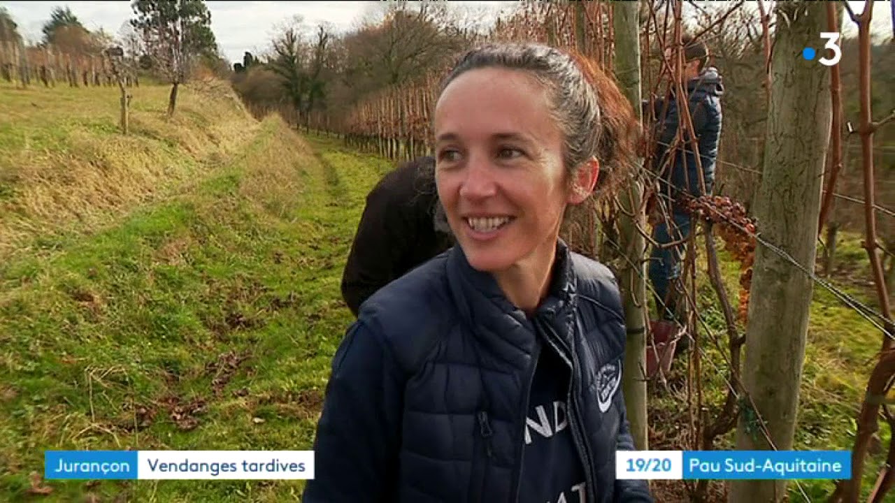 Jurançon: Vendanges Tardives à la cave de Gan