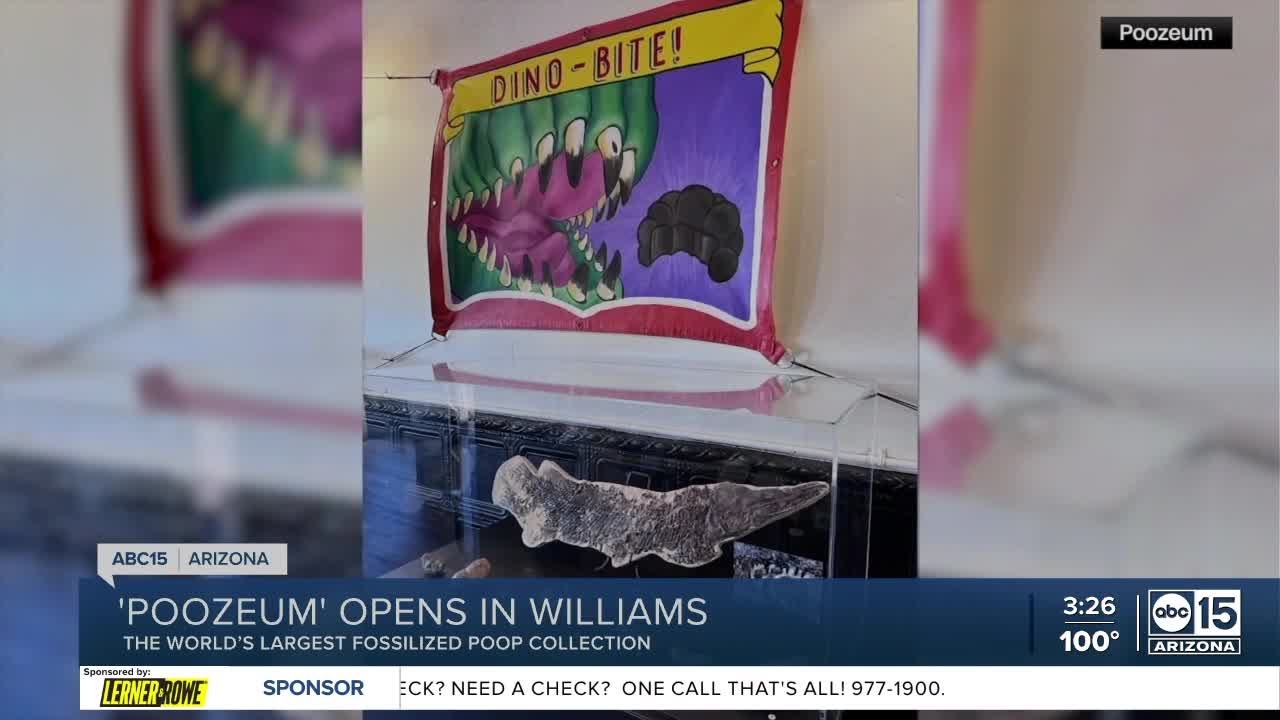 &lsquo;Poozeum&rsquo; opens in Williams, Arizona
