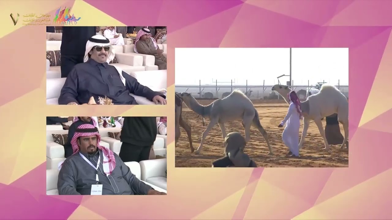 🏅تتويج الخمس مراكز في فئة مفاريد قعدان - لون 