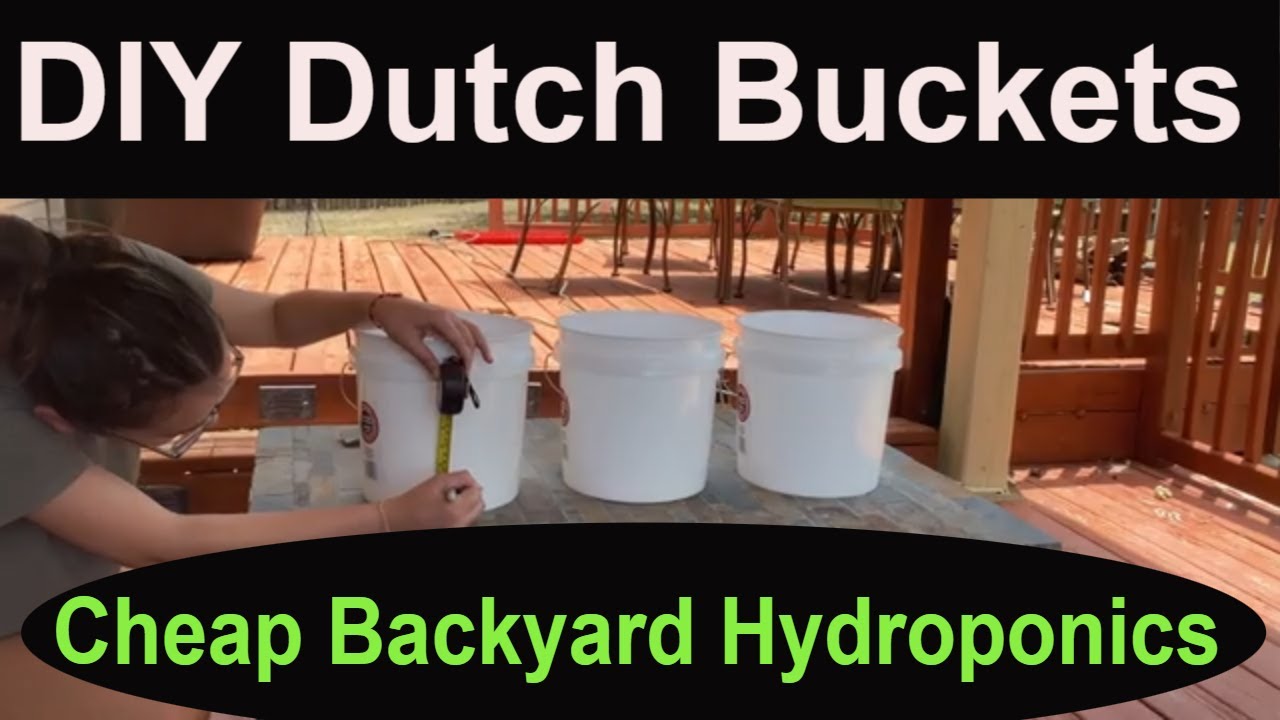 Build a Dutch Bucket Hydroponic system in a few hours