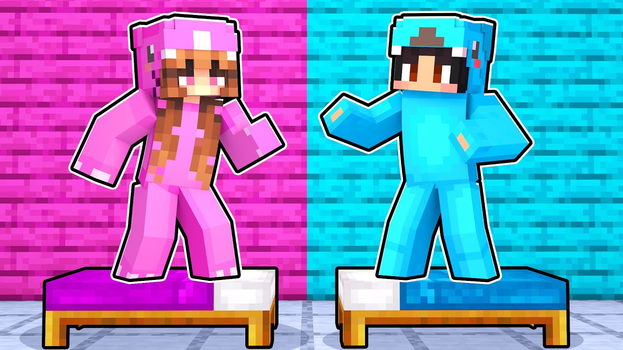 GIRLS vs BOYS Sleep Over House Party In Minecraft!