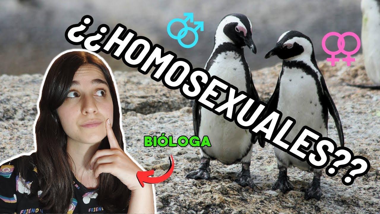 HOMOSEXUALIDAD en ANIMALES | Bióloga responde