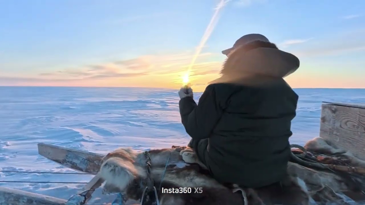 Short dog sledding (qimuksirauyaq)