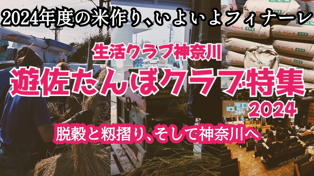 『生活クラブ神奈川遊佐たんぼクラブ特集』~脱穀と籾摺り､そして神奈川へ~