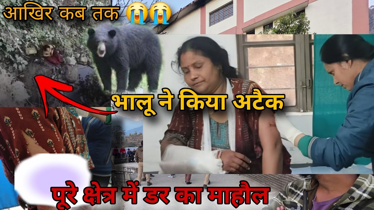 भालू ने किया घास काट रही महिला पे बुरी तरह हामला 😢|| Bear Attack in Ukhimath Rudraprayag 