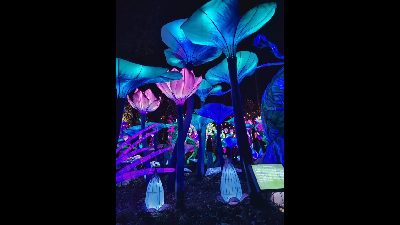 Chinese Lantern Festival Cary NC