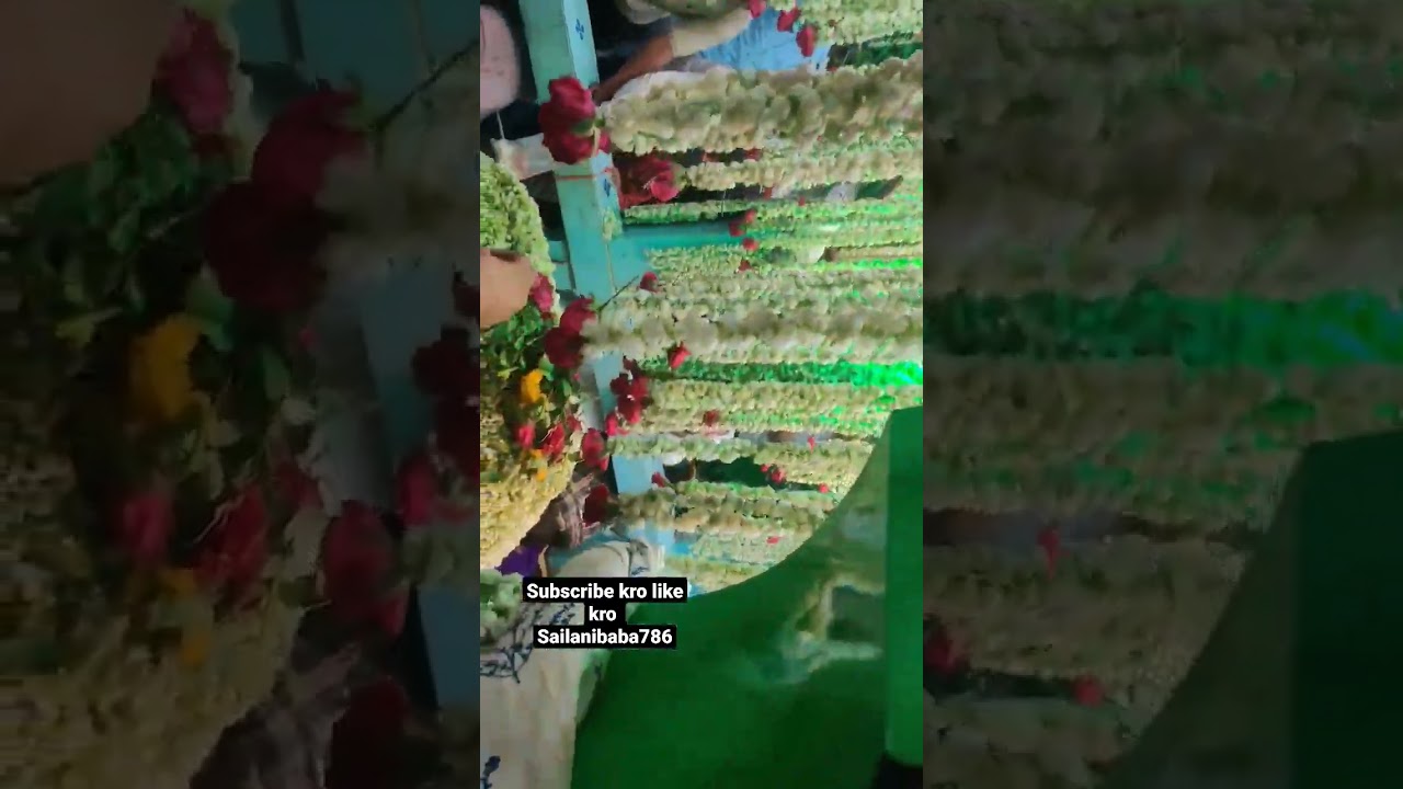 sailani baba ki khubsurat video | sailani baba qwali #sailanibaba786
