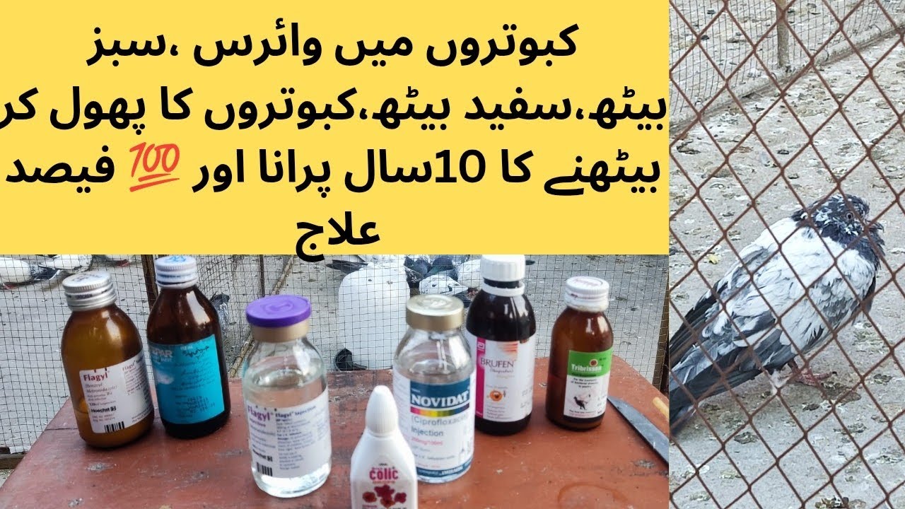 Parindo MN virus aur bukhar ka behtareen aur azmooda ilaj