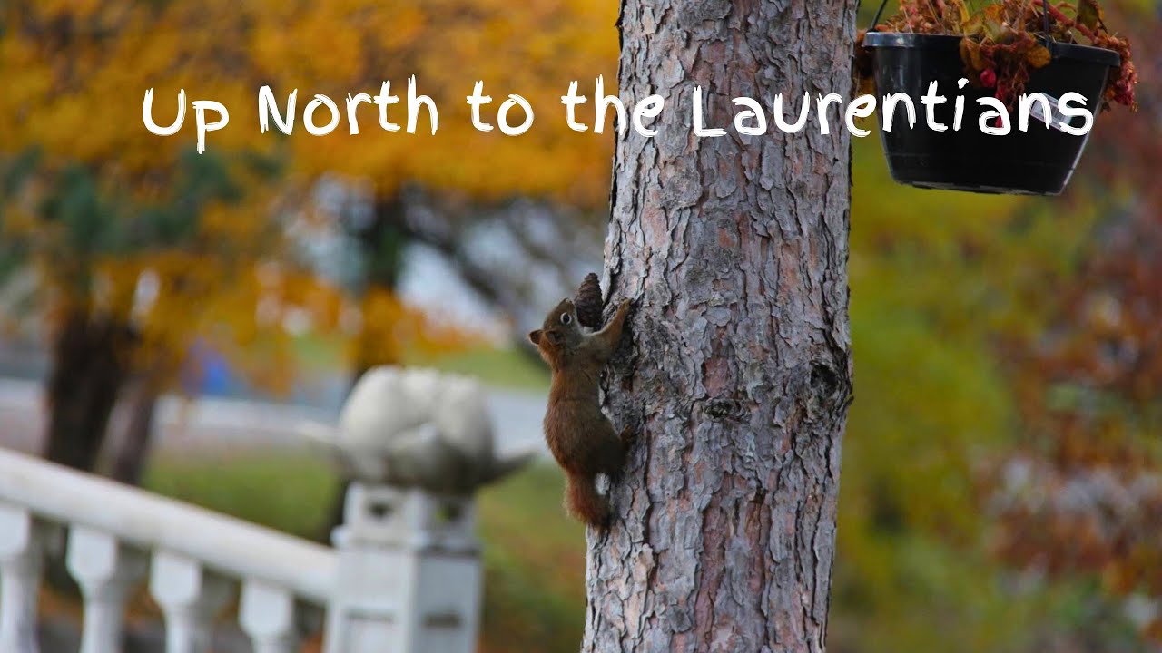 Thanksgiving Road Trip to the Laurentians (🏞️ Saint-Sauveur,  ⛰️ Mont-Tremblant)