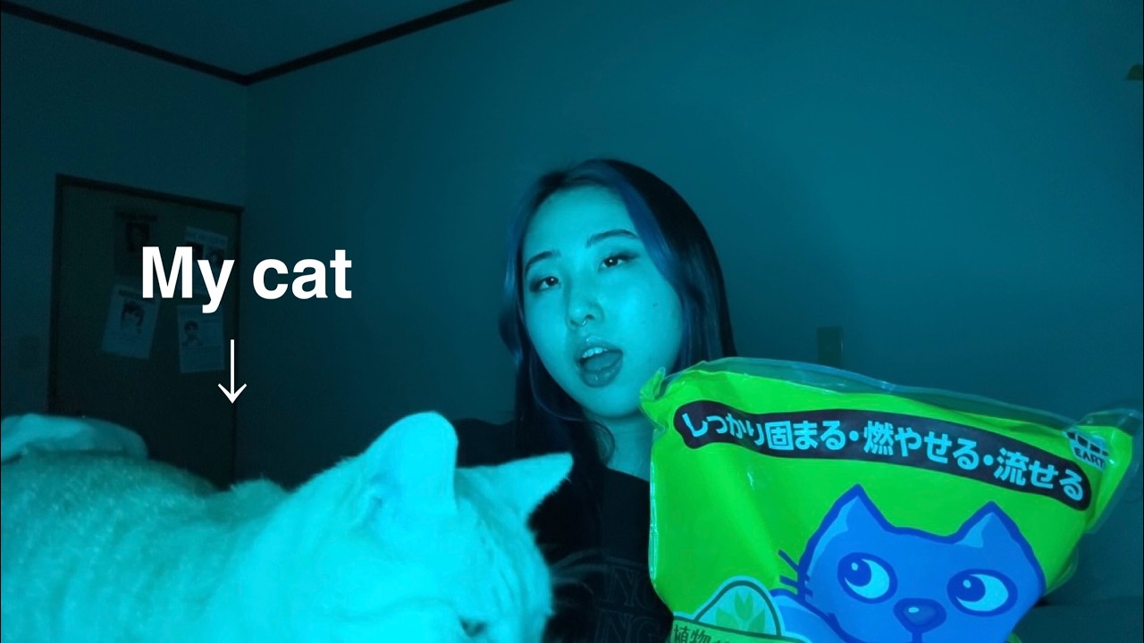 ASMR MY CAT'S FAVORITE SUPPLIES🐾