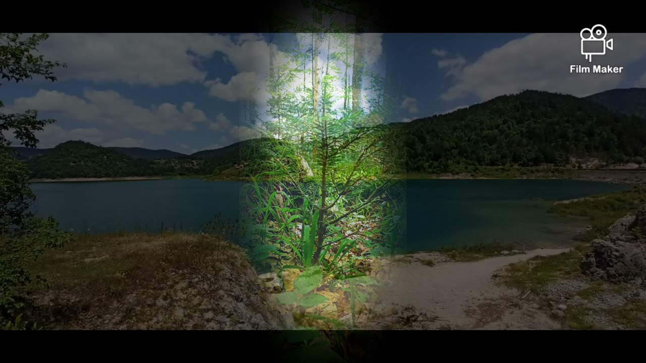 ••• Tara - Rastište ••• jul 2023.