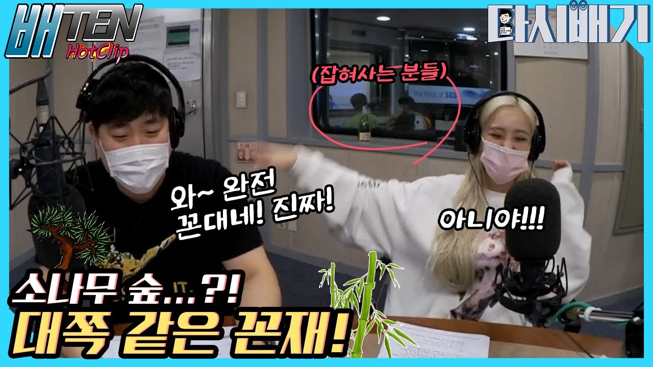 소나무 같은 배디와 꼰대력 만점 꼰쟤!