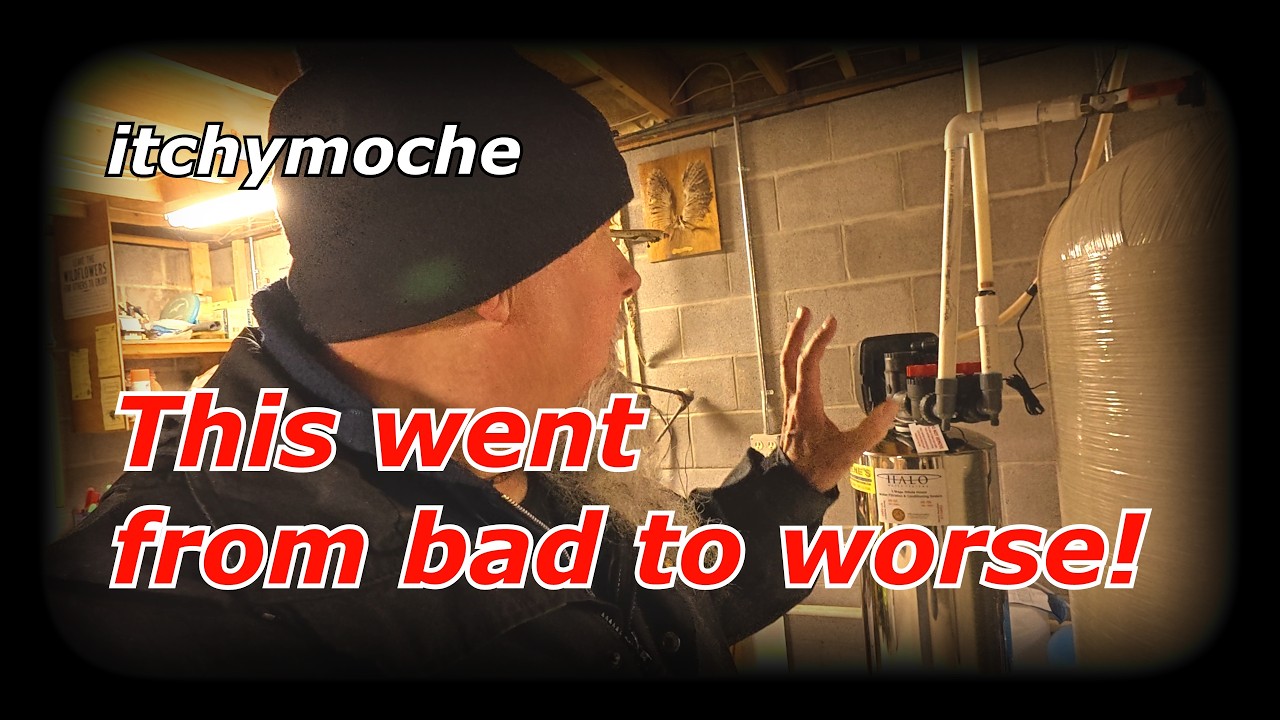It began as a simple job