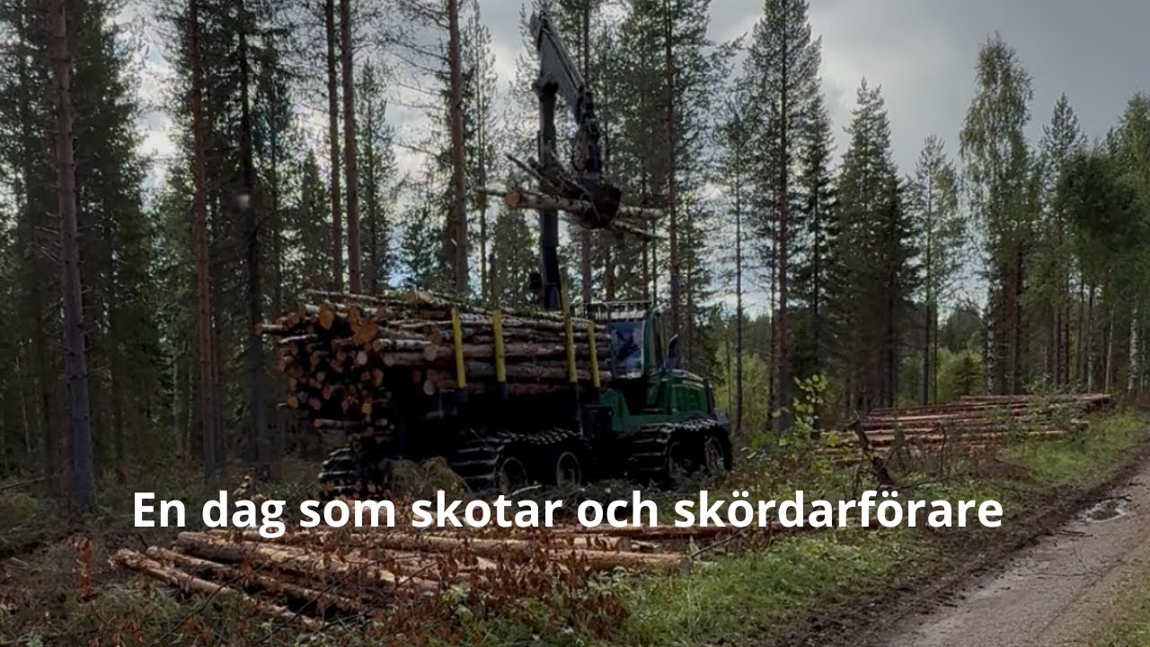 En dag som skotar och skördarförare