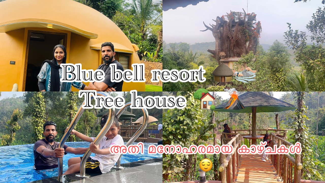 ബ്ലൂ ബെൽ റിസോർട്ടിലുണ്ടായ മരത്തിന്റെ മുകളിലെ വീട് കണ്ടാലോ 🛖🙀🏊‍♂️/Blue bell resort /tree house/wayand