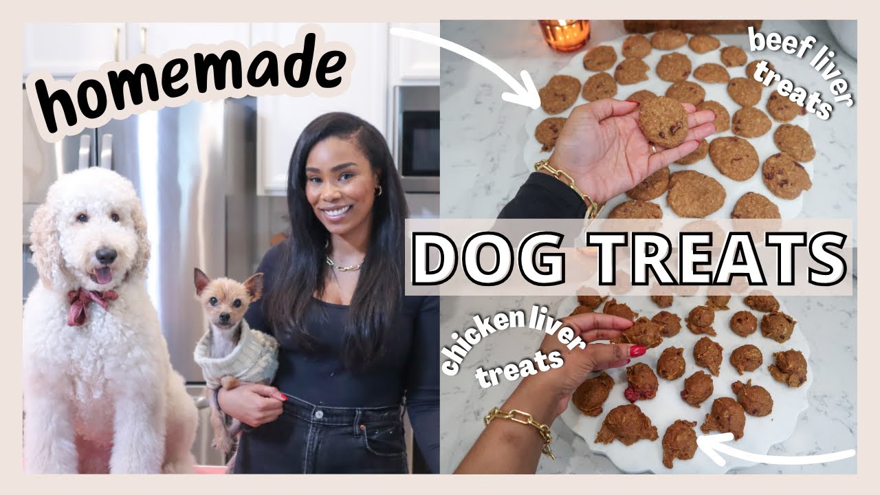 TWO HOMEMADE DOG TREAT RECIPES | HEALTHY AND EASY DOG TREATS // LoveLexyNicole