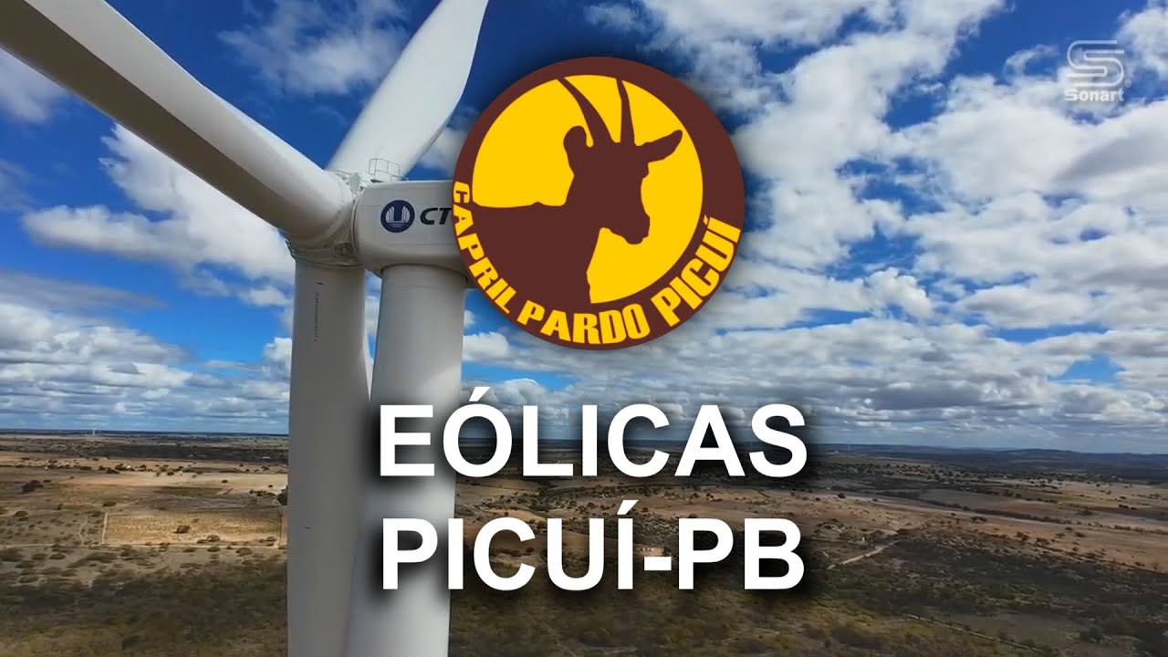 CPP► EÓLICAS PICUÍ