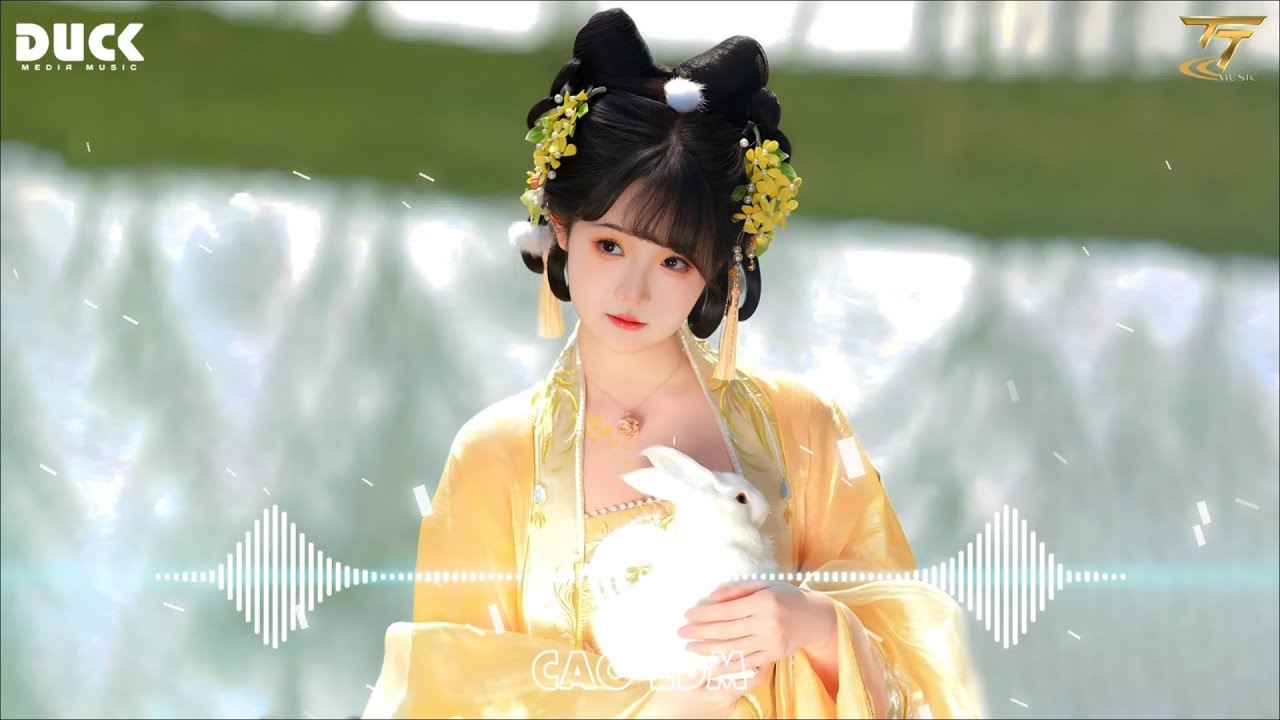 Duyên Đọa Đày Remix - Nhìn Nơi Xa Xăm Trong Lòng Bao Vấn Vương Remix - Nhạc Hoa Lời Việt Remix