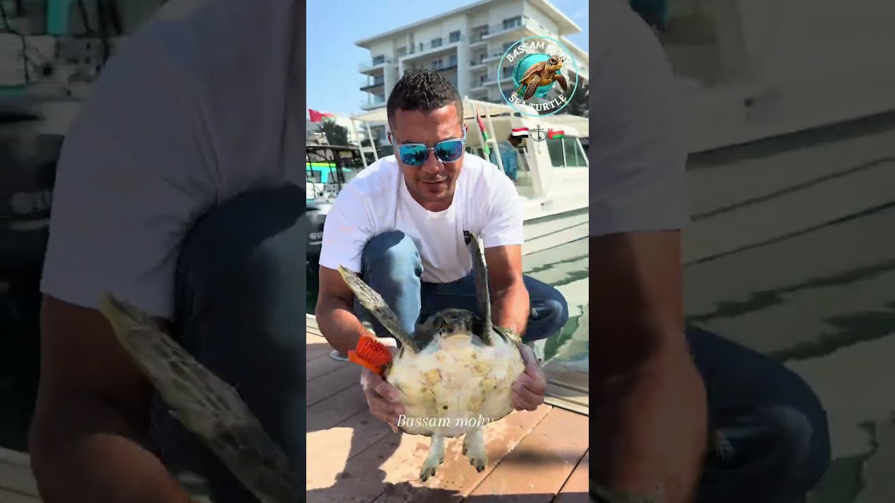  “البرنيكل يهدد حياة السلحف الصغيرة.” 🦪⚓️🐢🥺