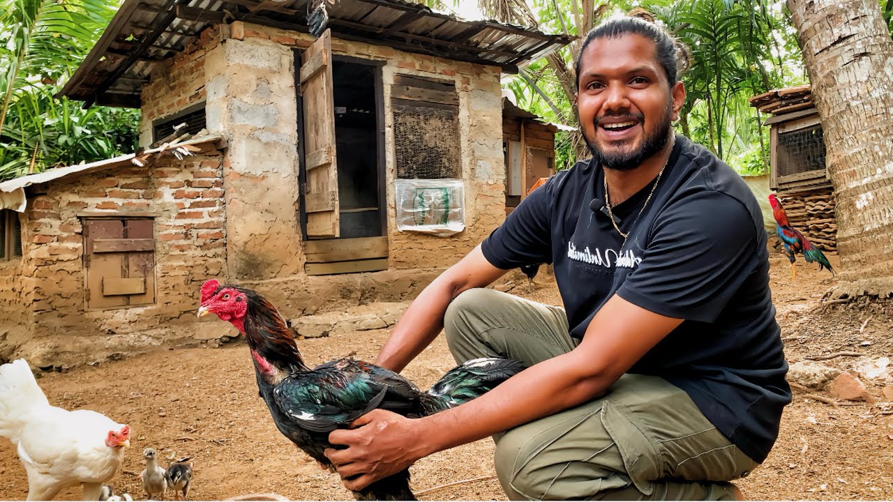 අරැම පුදුම පොර කිකිලි/සුපිරි පොරකුකුල් ගෙවිපලක් කරන තරැනයා සමග දවසක්|සතුන් ගැන ඹහුගේ දැනුම සහ ආදරය