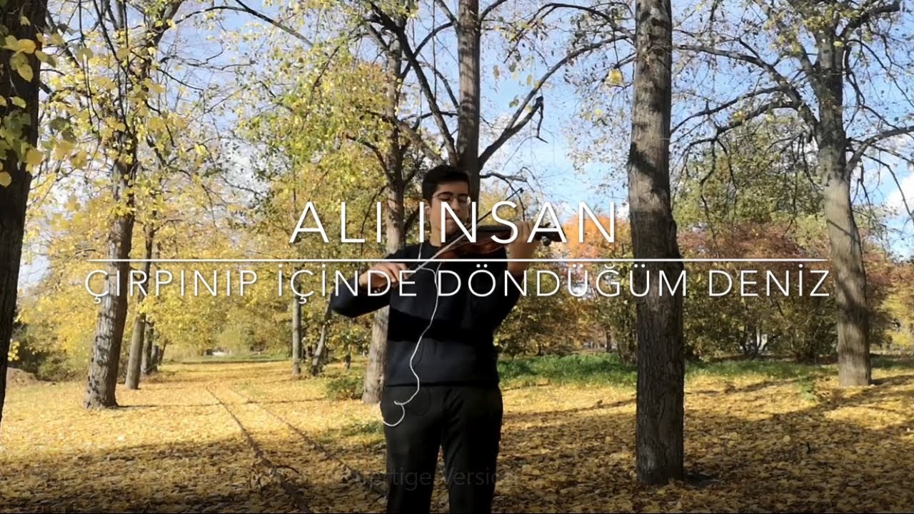Ali Insan - Çırpınıp İçinde Döndüğüm Deniz