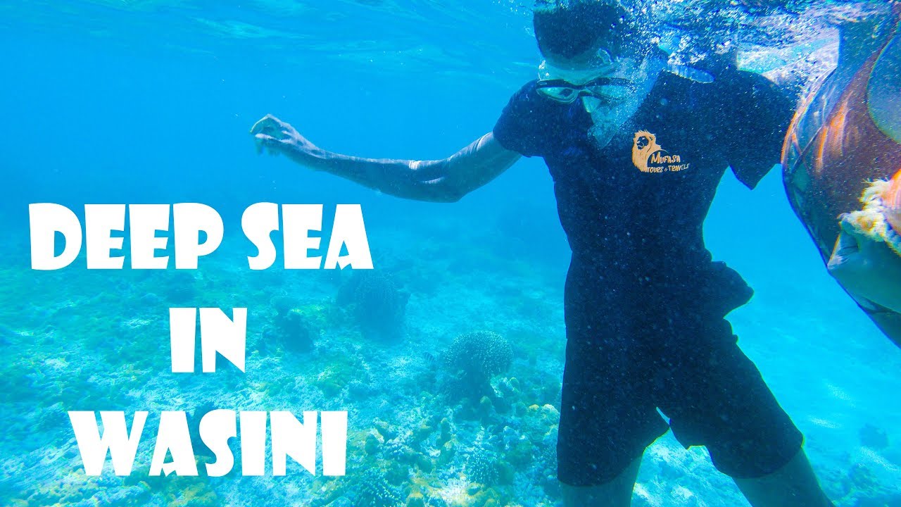SNORKELING WITH DOLPHINS | Wasini Island | Travel Vlog