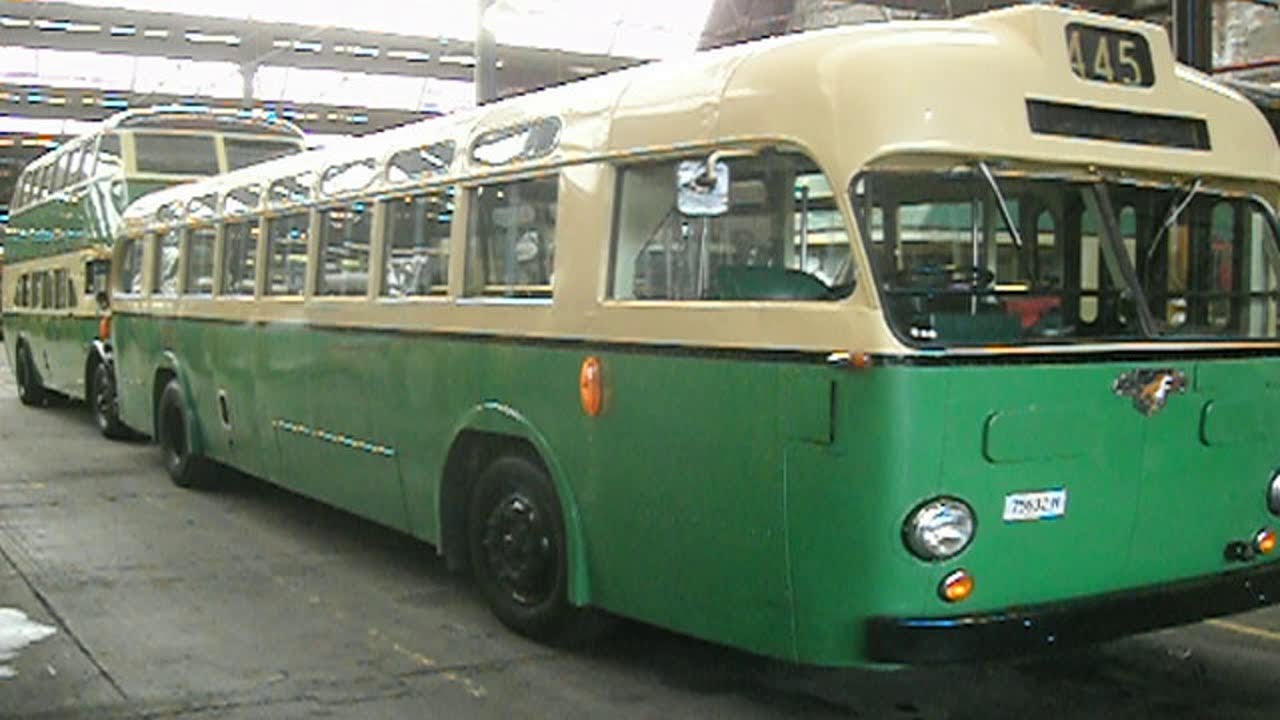 201-Sydney Bus Museum Leichhardt & Caruso's Woodfired Pizzeria Mona Vale Sydney 19'..