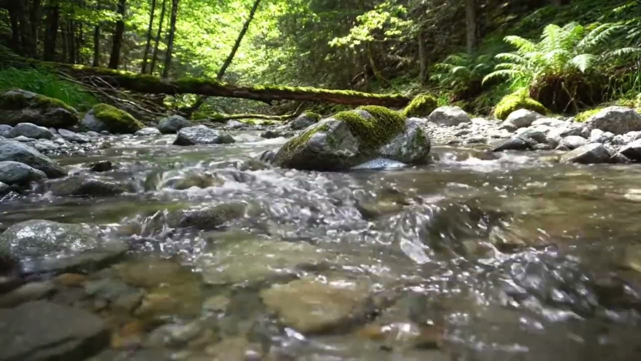 Tranquil River Sounds for Stress Relief and Relaxation 4K