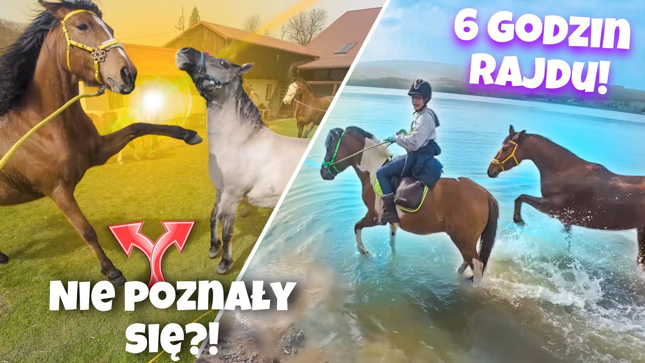 NIE WIDZIELIŚMY SIĘ KILKA LAT! DWU DNIOWY RAJD KONNY | POV 4K